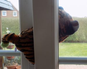 katze-in-kippfenster