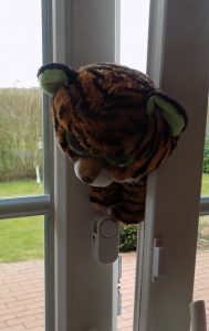 katze-in-kippfenster1