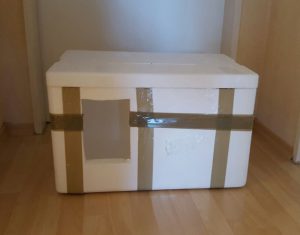 img-20161103-wa0033