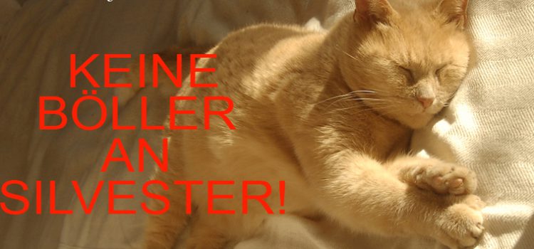 Silvester ohne Böller Silvester ohne Böller