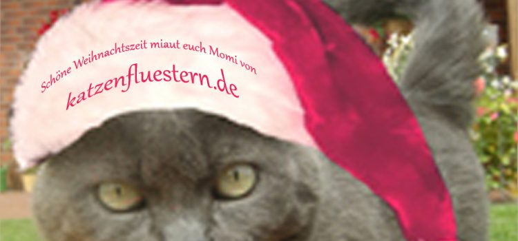 Tiere sind KEINE Weihnachtsgeschenke Tiere sind KEINE Weihnachtsgeschenke