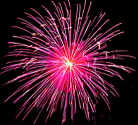 Silvesterangst und wie man seinen Tieren hilft Silvesterangst und wie man seinen Tieren hilft