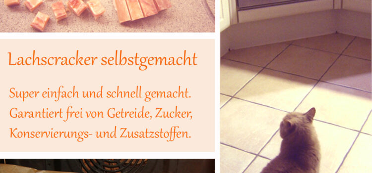 Katzensnack – Lachscracker selbstgemacht Katzensnack – Lachscracker selbstgemacht