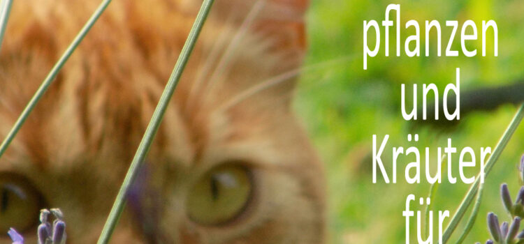 Giftige und ungiftige Gartenpflanzen für Katzen Giftige und ungiftige Gartenpflanzen für Katzen