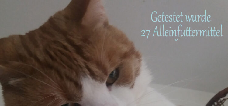 Katzenfuttertest 2024 Katzenfuttertest 2024