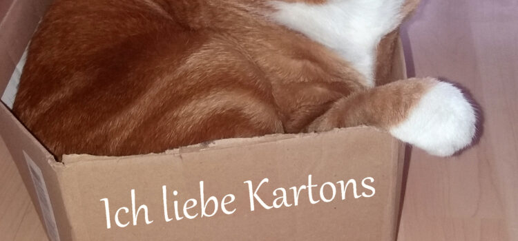 Katzen lieben Kartons! Warum? Katzen lieben Kartons! Warum?