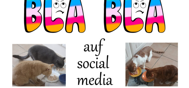 Katzenprobleme? | Echte Hilfe statt nur BLA BLA Katzenwissen statt nur blabla